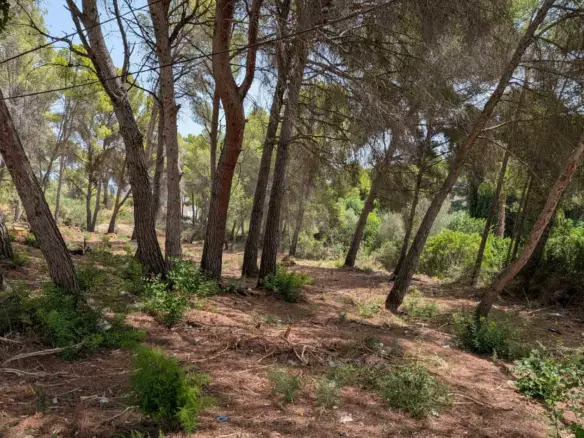 Plot In Moraira, Spain (2.503 M² Plot)