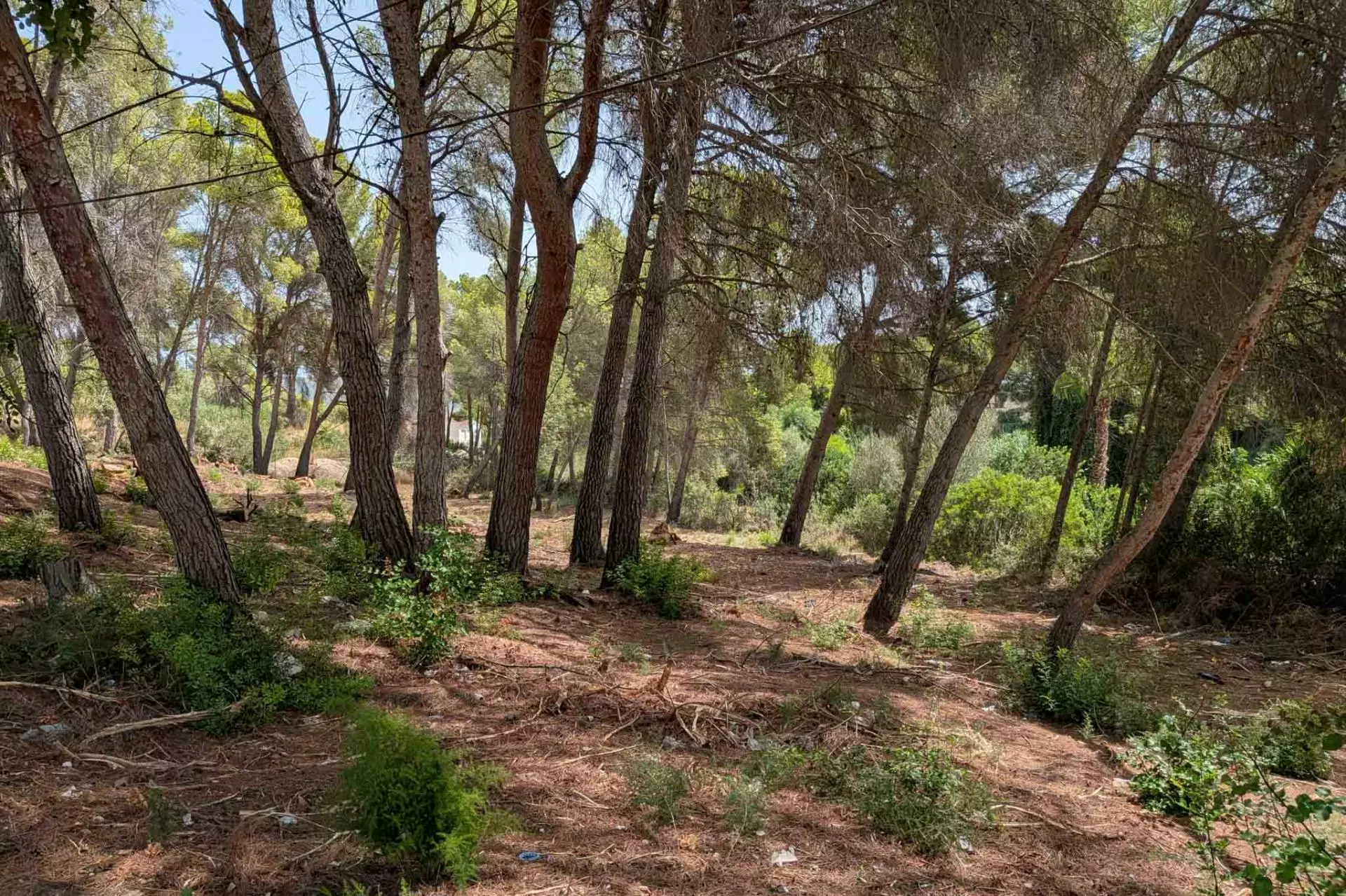 2-12-290d66 Plot In Moraira, Spain (2.503 M² Plot)