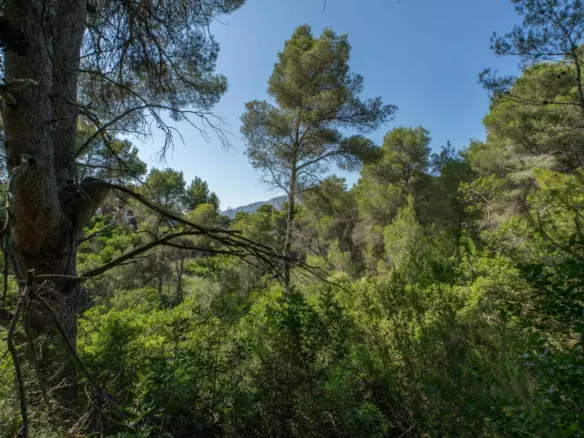 Plot In Jávea – Xàbia, Spain (1.100 M² Plot)