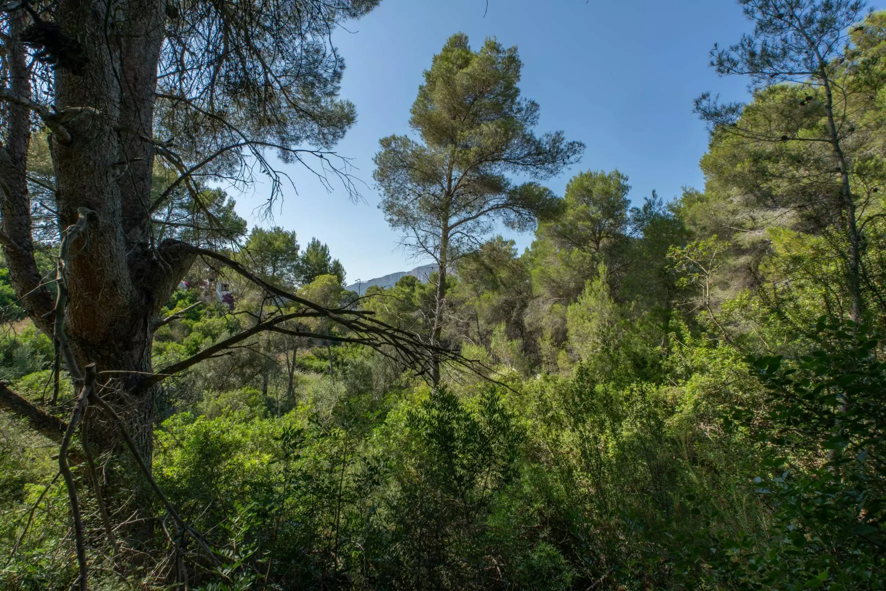 2-13-690a63 Plot In Jávea – Xàbia, Spain (1.100 M² Plot)