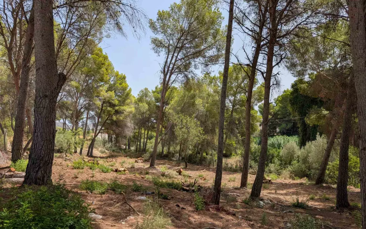 Plot In Moraira, Spain (2.503 M² Plot)