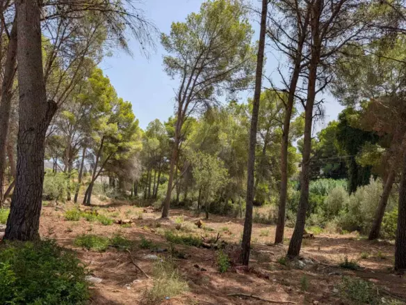 Plot In Moraira, Spain (2.503 M² Plot)