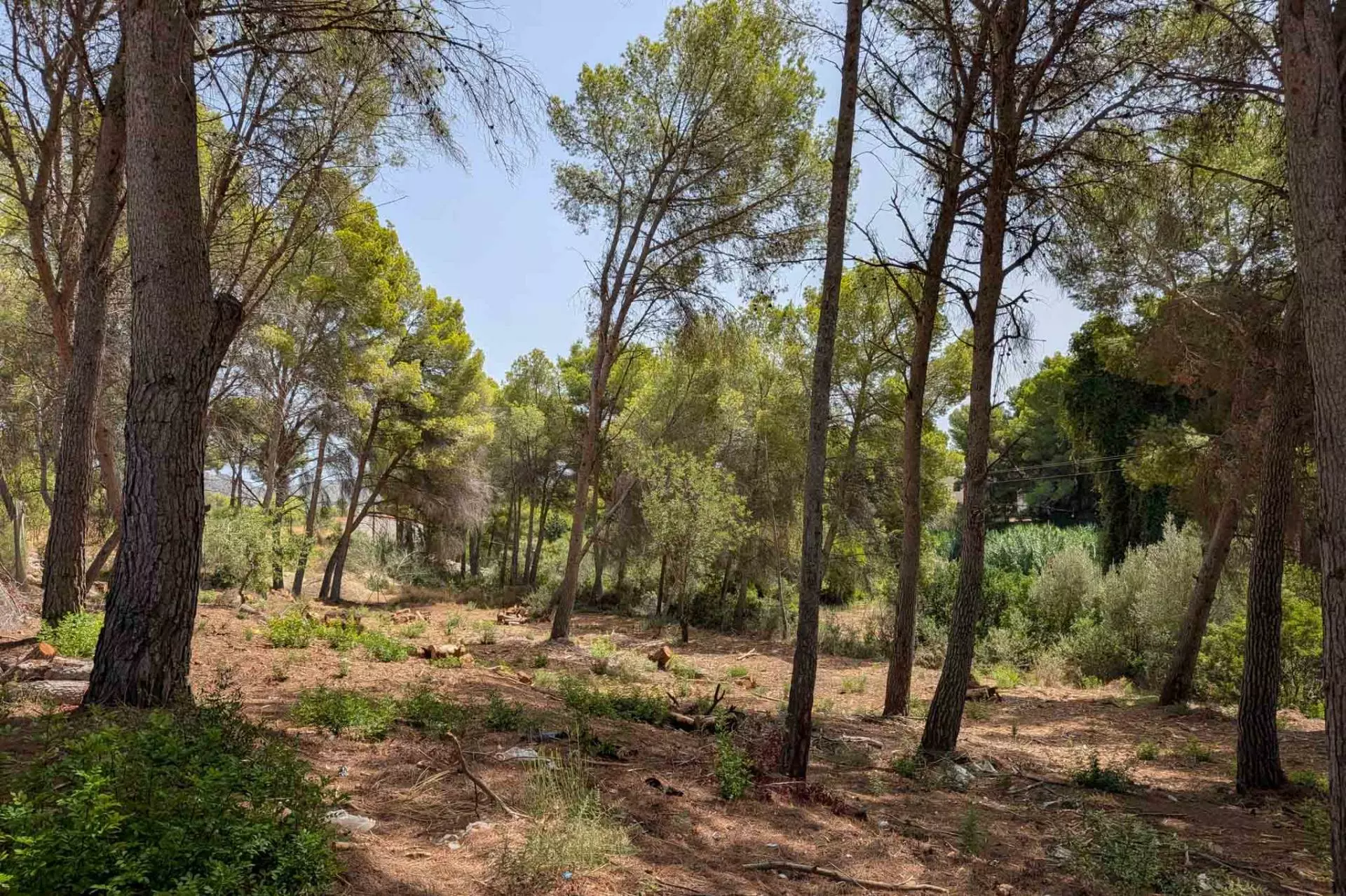 2-13-798cb1 Plot In Moraira, Spain (2.503 M² Plot)