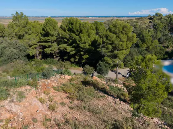 Plot In Pego, Spain (1.215 M² Plot)