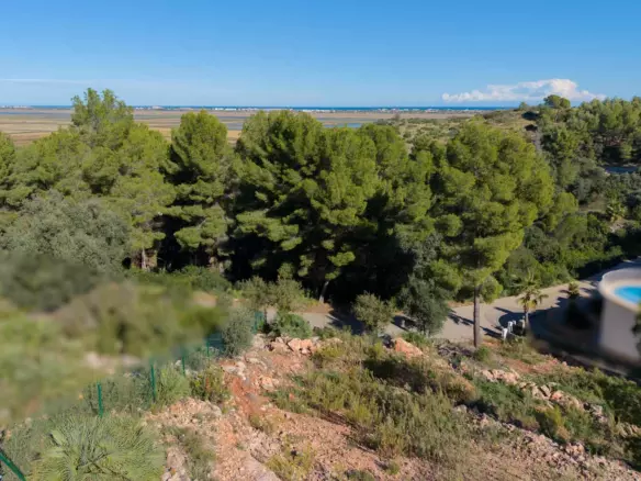 Plot In Pego, Spain (1.215 M² Plot)