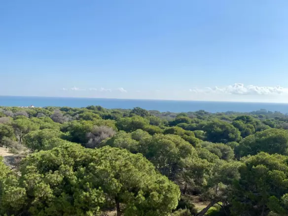 2-bedroom Apartment In Guardamar Del Segura, Spain (100 M²)