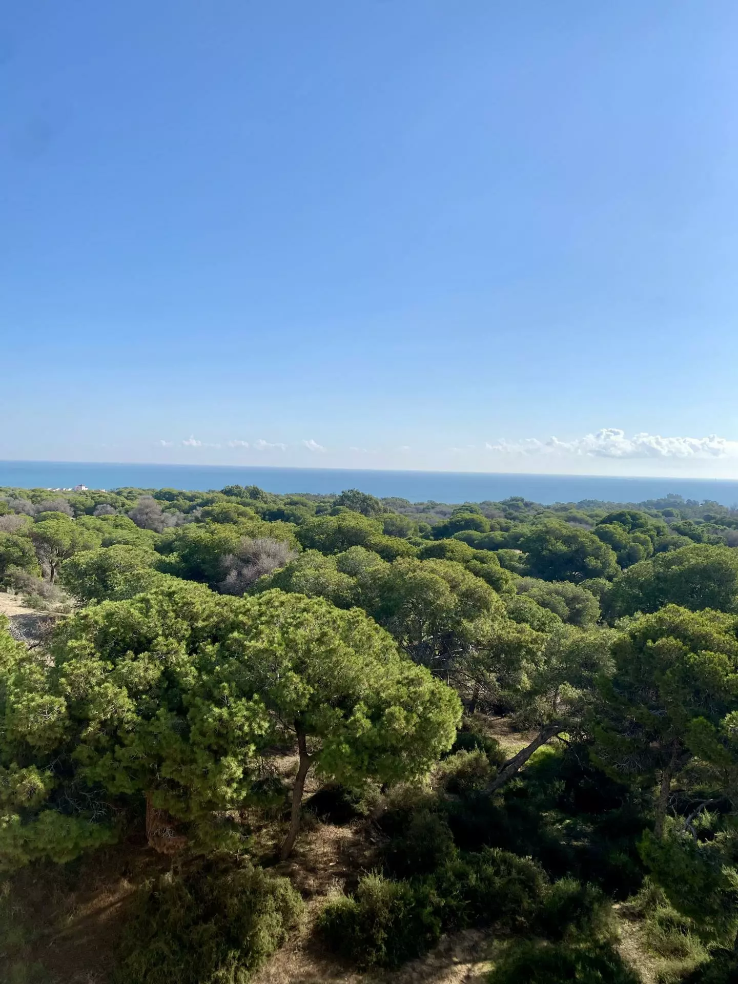 2-bedroom Apartment In Guardamar Del Segura, Spain (100 M²)