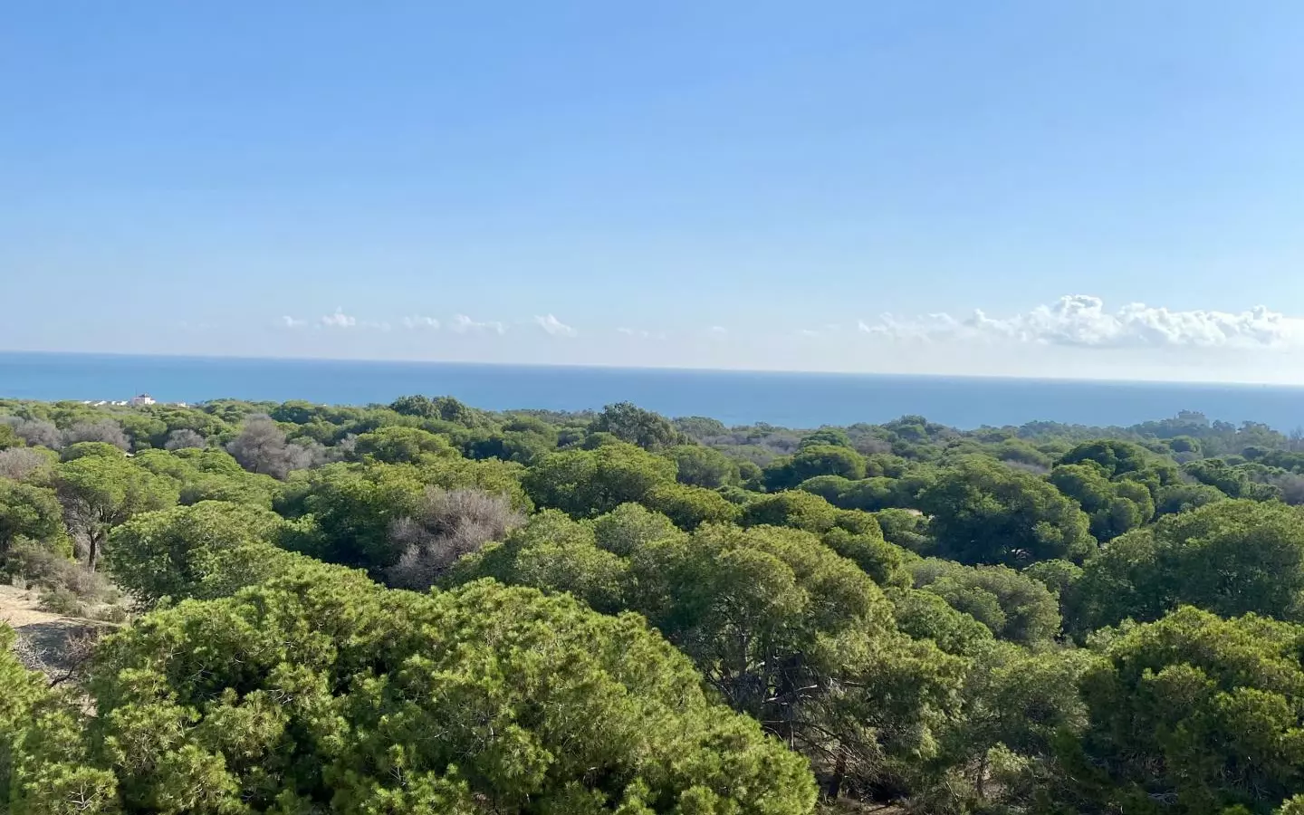 2-bedroom Penthouse In Guardamar Del Segura, Spain (99 M²)