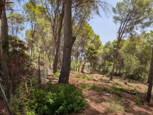 Plot In Moraira, Spain (2.503 M² Plot)