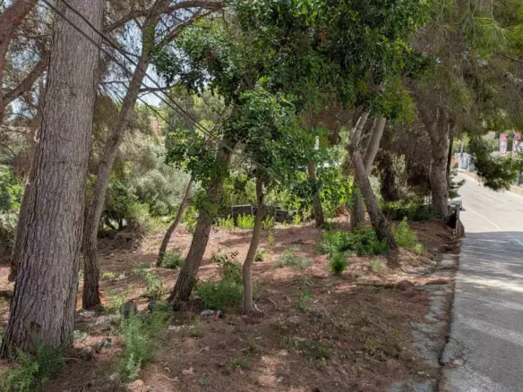 Plot In Moraira, Spain (2.503 M² Plot)