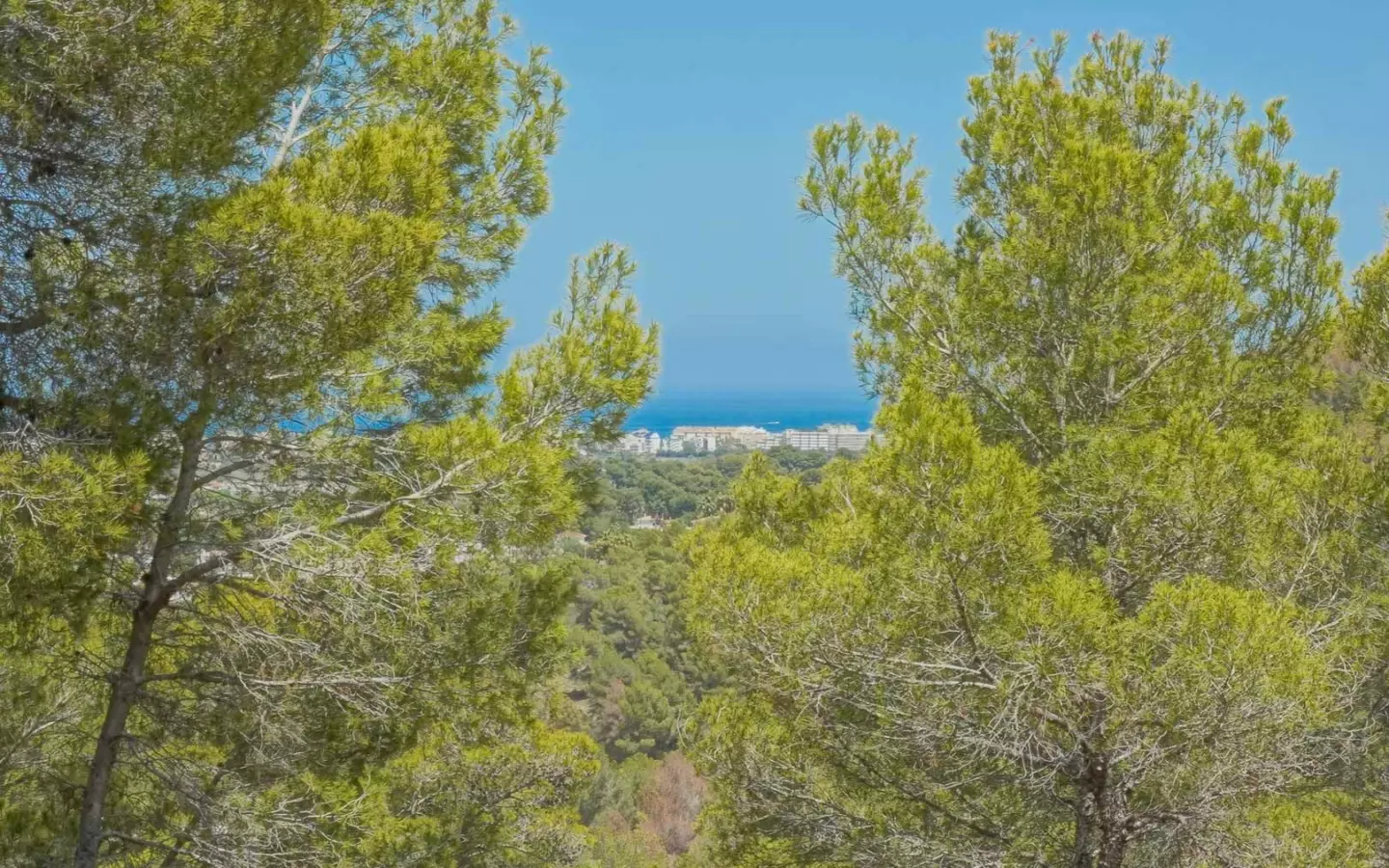 Plot In Jávea – Xàbia, Spain (3.000 M² Plot)