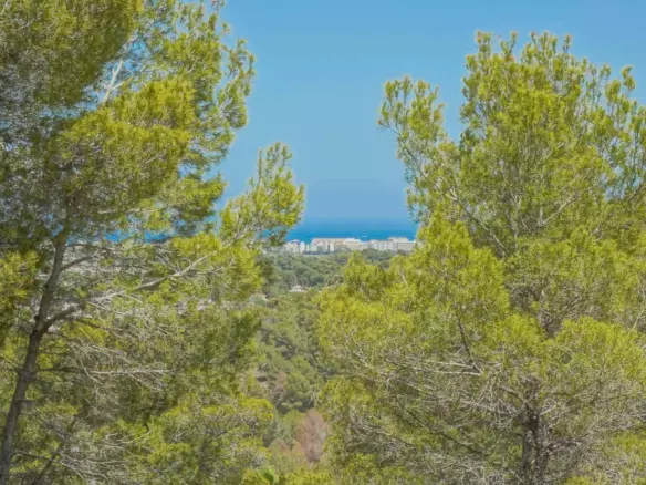 Plot In Jávea – Xàbia, Spain (3.000 M² Plot)