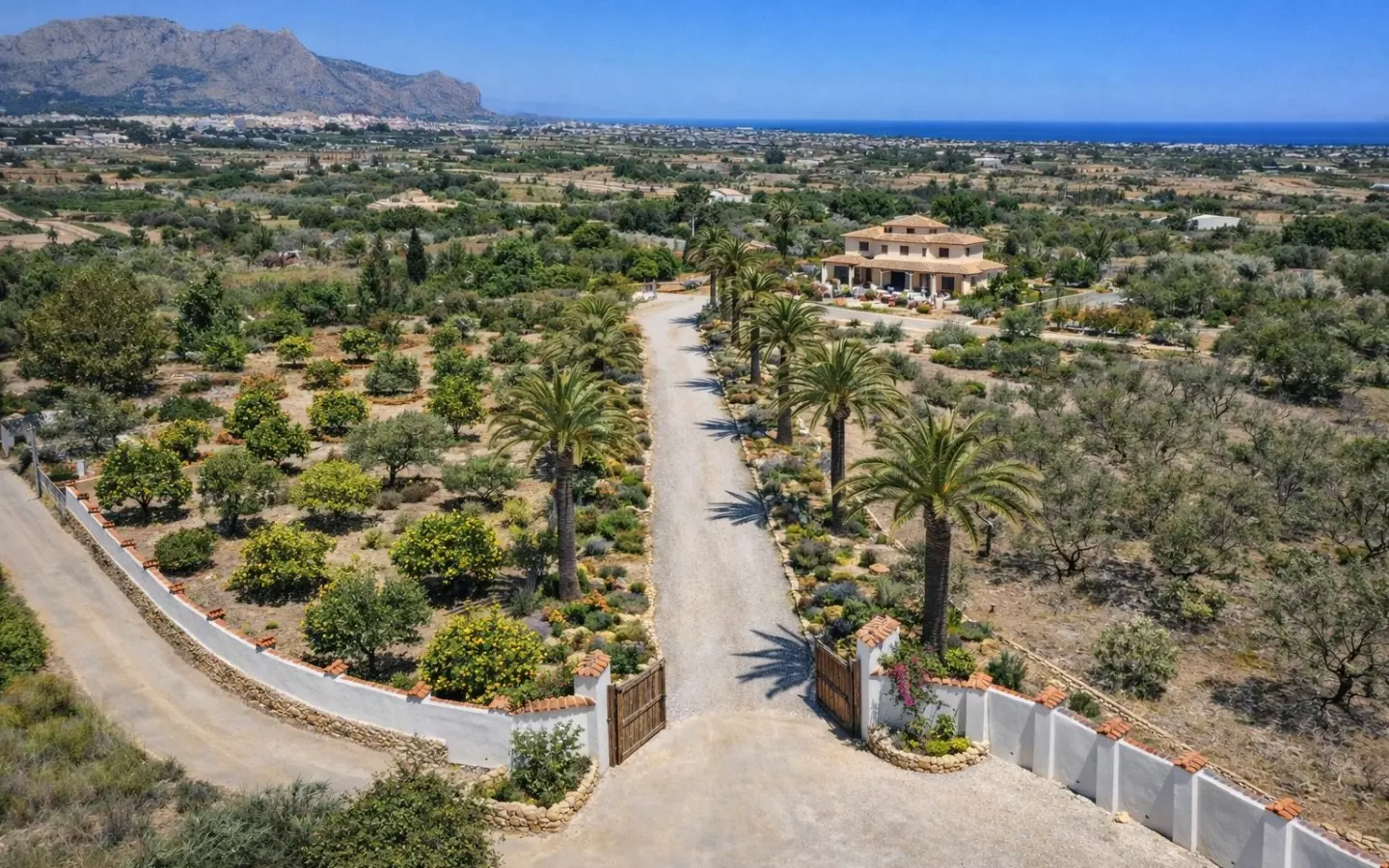 5-bedroom Villa In Pedreguer, Spain (550 M²)