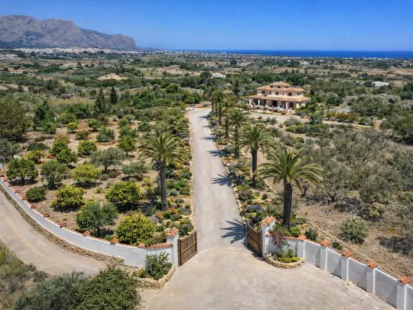 5-bedroom Villa In Pedreguer, Spain (550 M²)