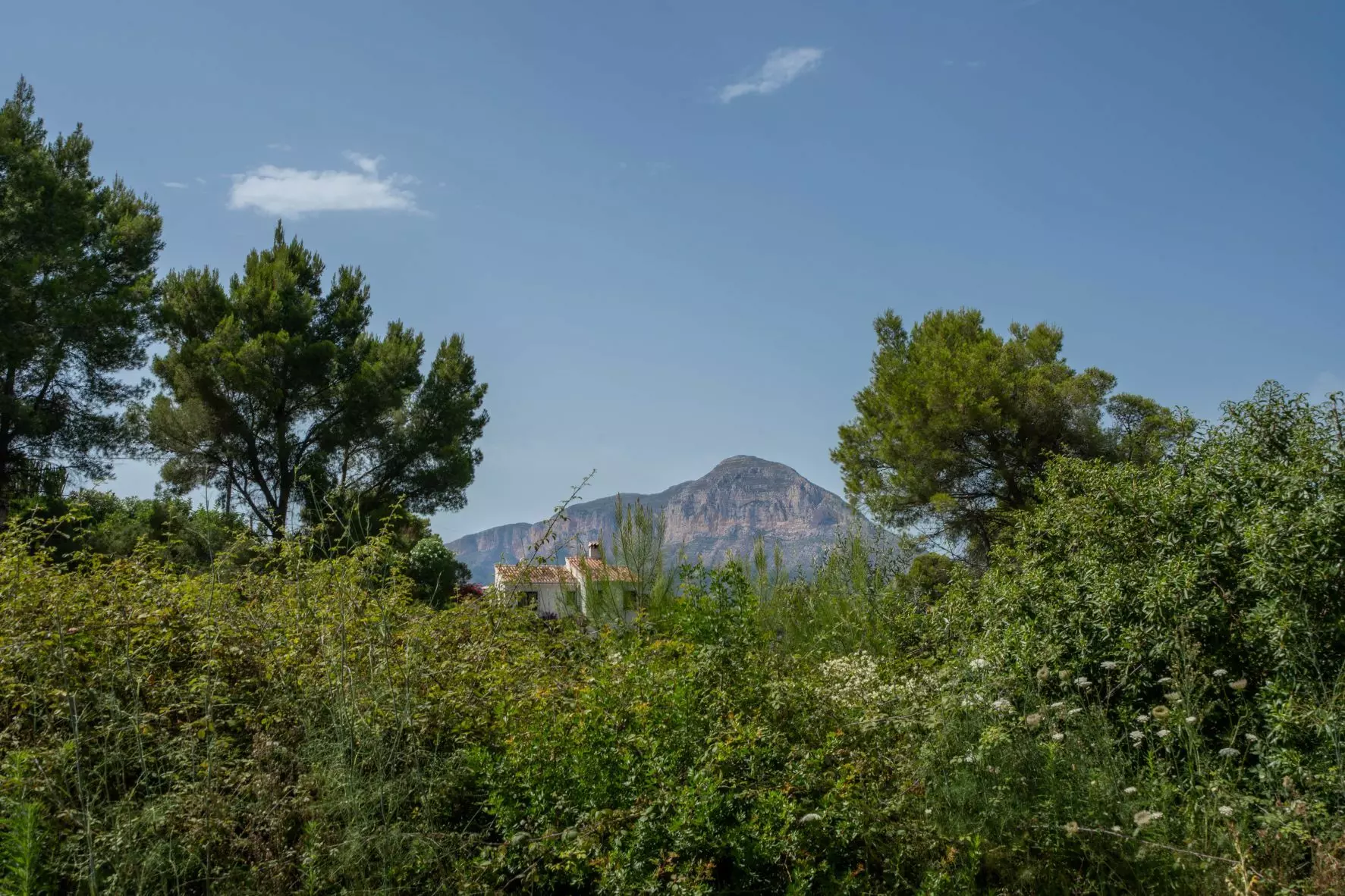2-2-369782 Plot In Jávea – Xàbia, Spain (1.100 M² Plot)