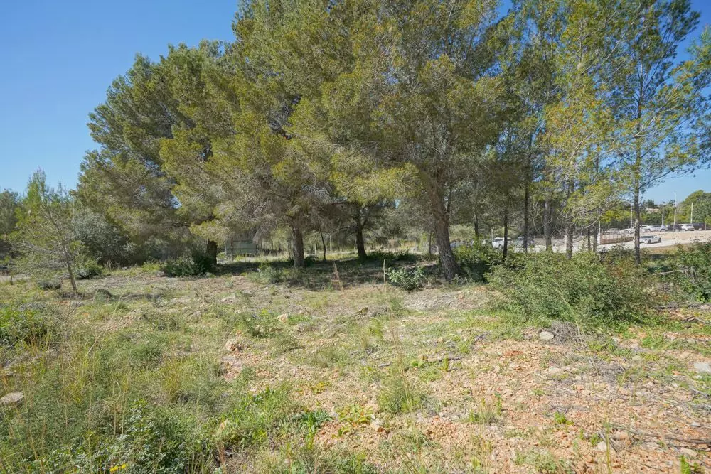 Plot In Jávea – Xàbia, Spain (1.500 M² Plot)