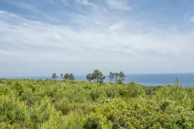 Plot In Jávea – Xàbia, Spain (35 M²)