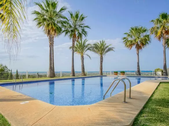 3-bedroom Apartment In Pedreguer, Spain (310 M²)
