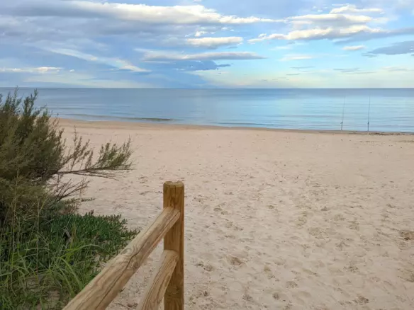 Plot In Denia, Spain (1.315 M² Plot)