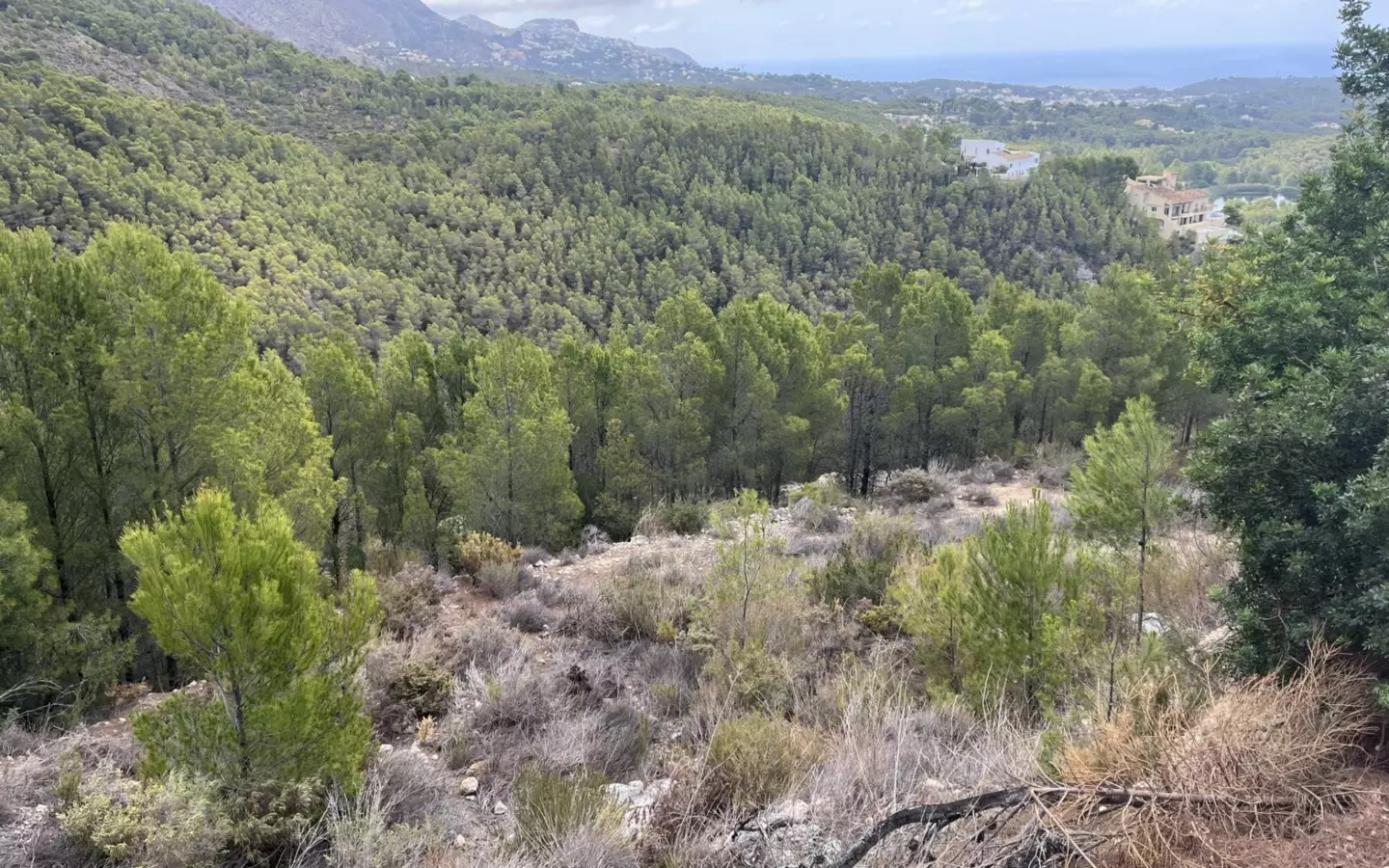 Plot In Altea, Spain (985 M² Plot)