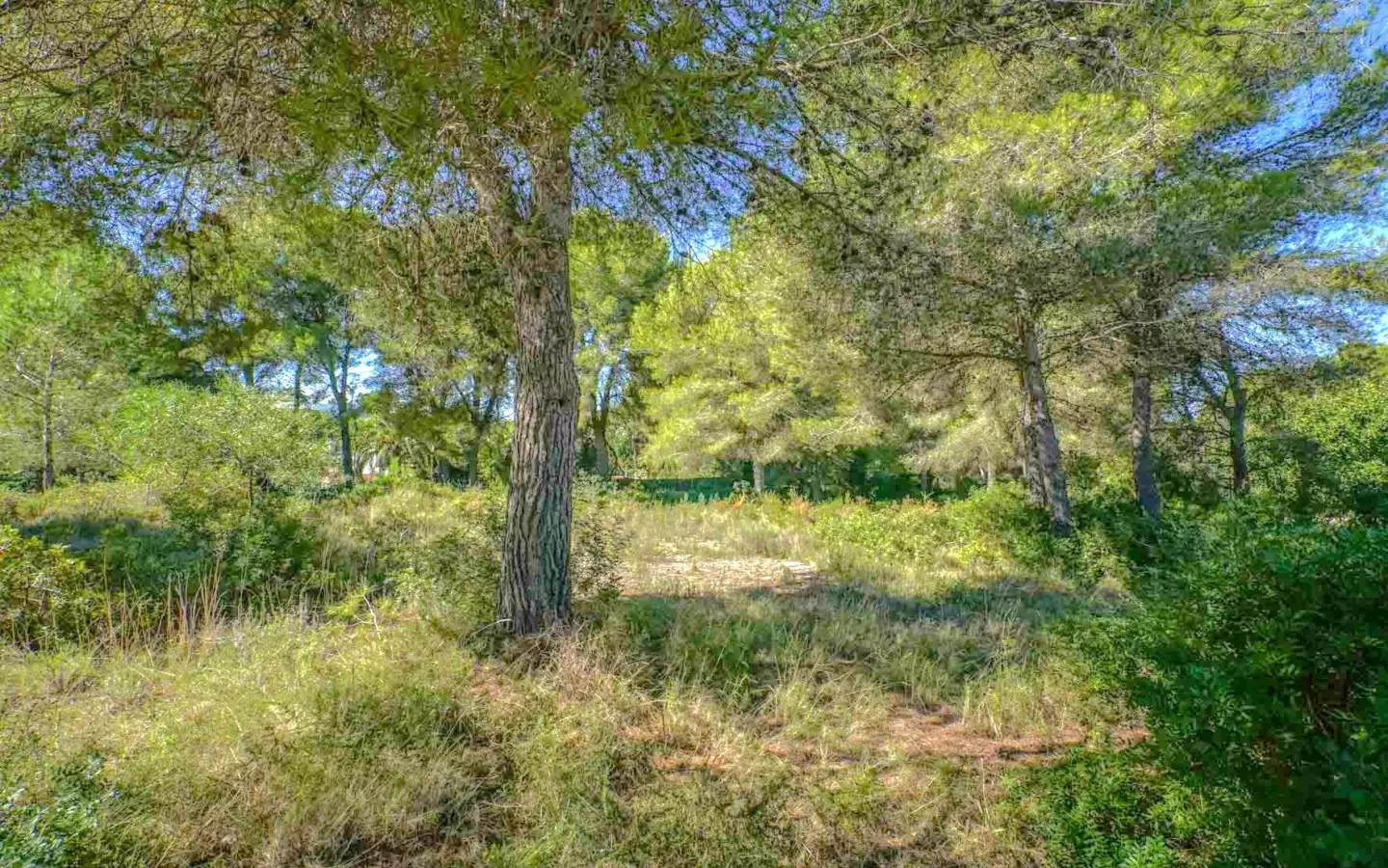 Plot In Jávea – Xàbia, Spain (2.700 M² Plot)