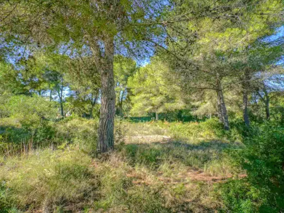 Plot In Jávea – Xàbia, Spain (2.700 M² Plot)