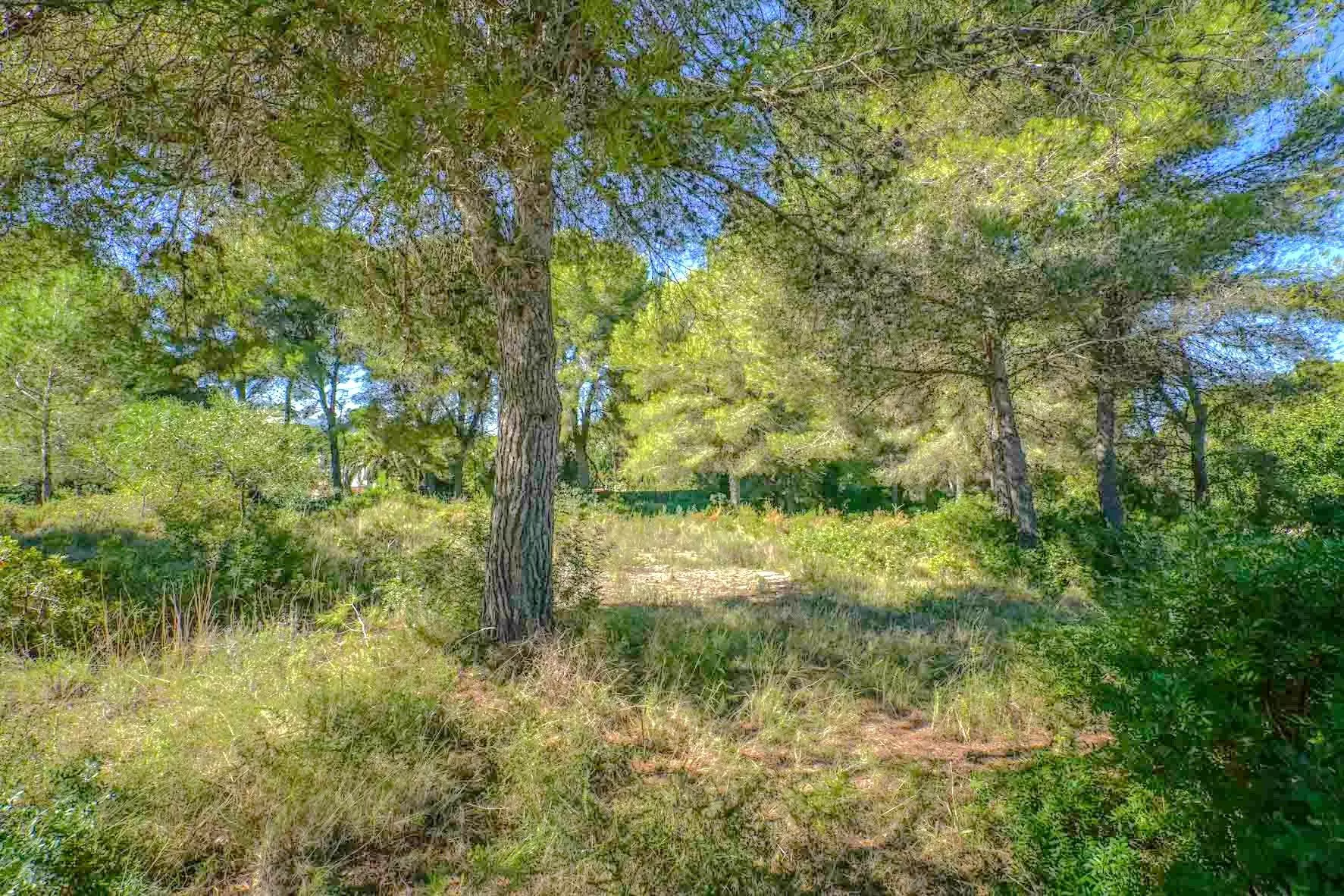 2-2-ca881a Plot In Jávea – Xàbia, Spain (2.700 M² Plot)