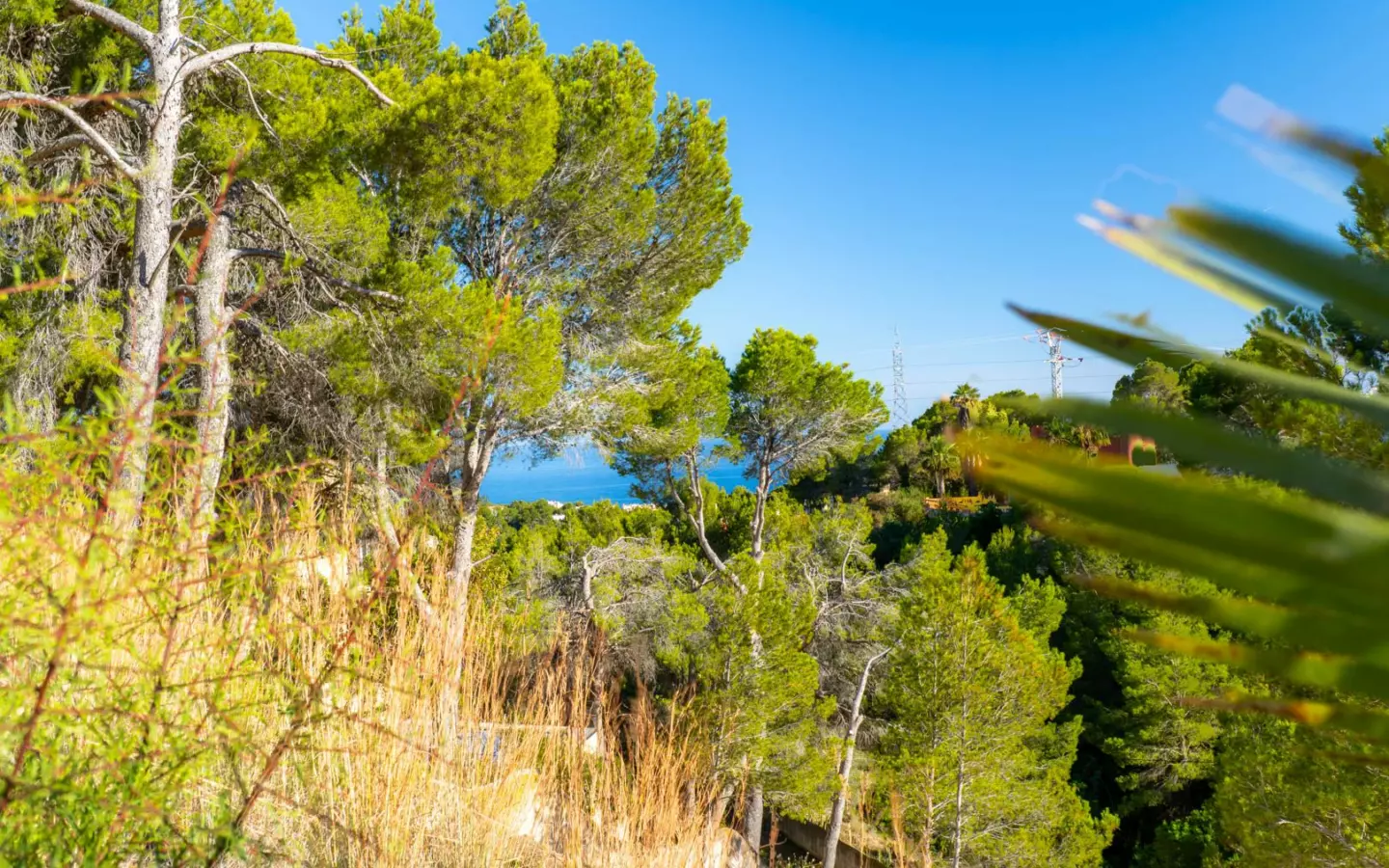 Plot In Altea, Spain (2.120 M² Plot)