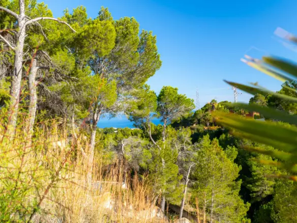Plot In Altea, Spain (2.120 M² Plot)