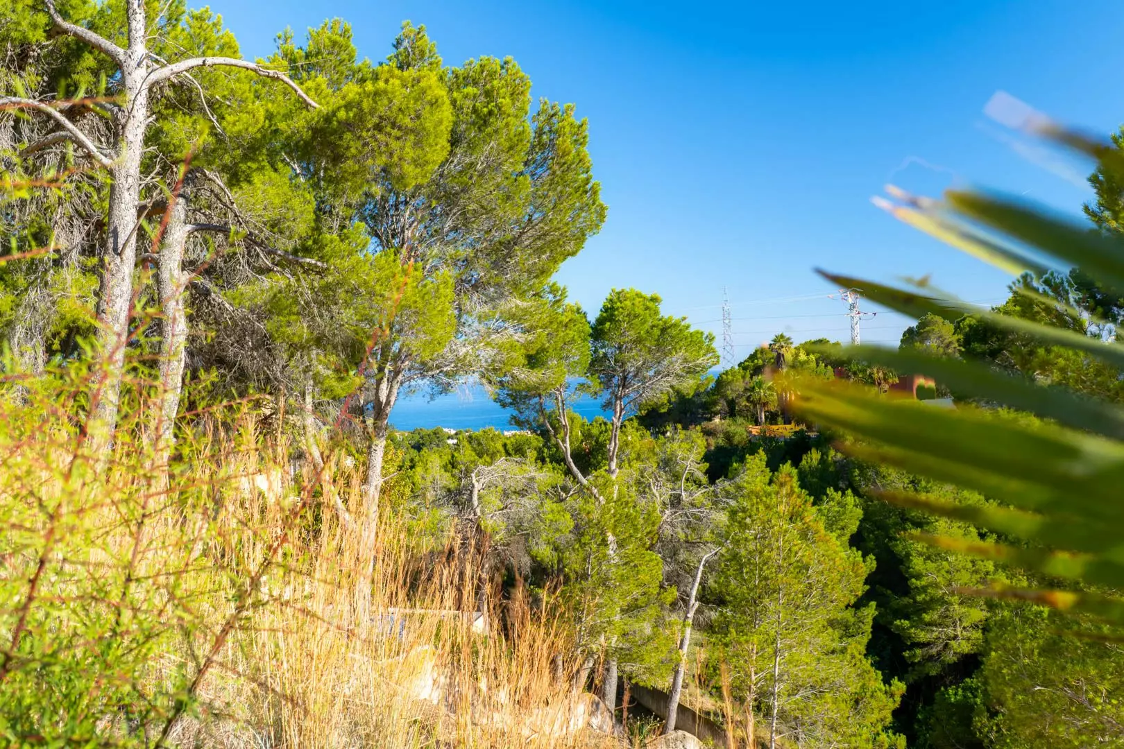 Plot In Altea, Spain (2.120 M² Plot)