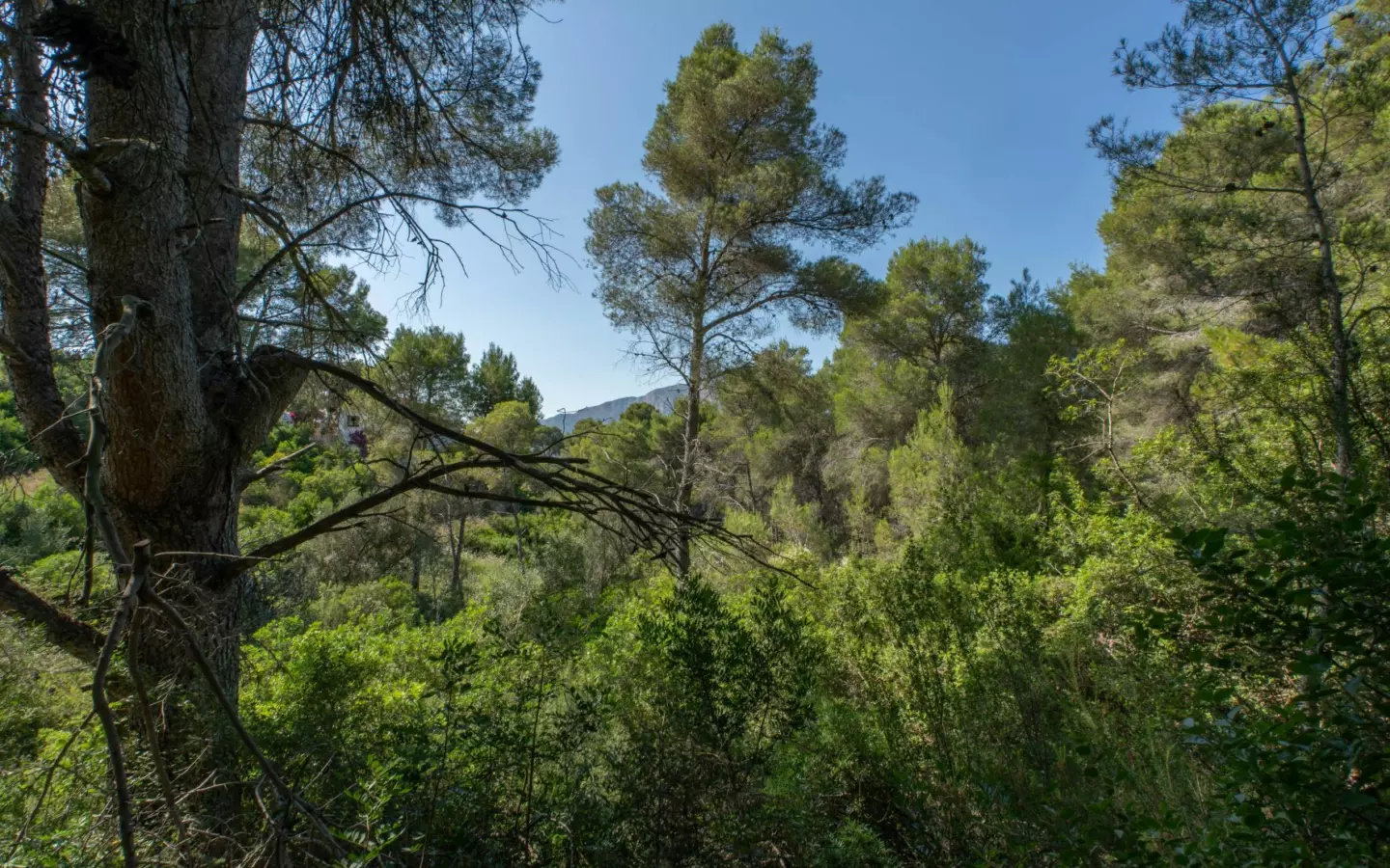 Plot In Jávea – Xàbia, Spain (1.100 M² Plot)