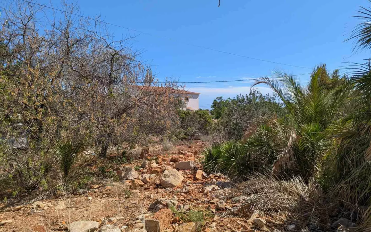 Plot In Denia, Spain (1.240 M² Plot)