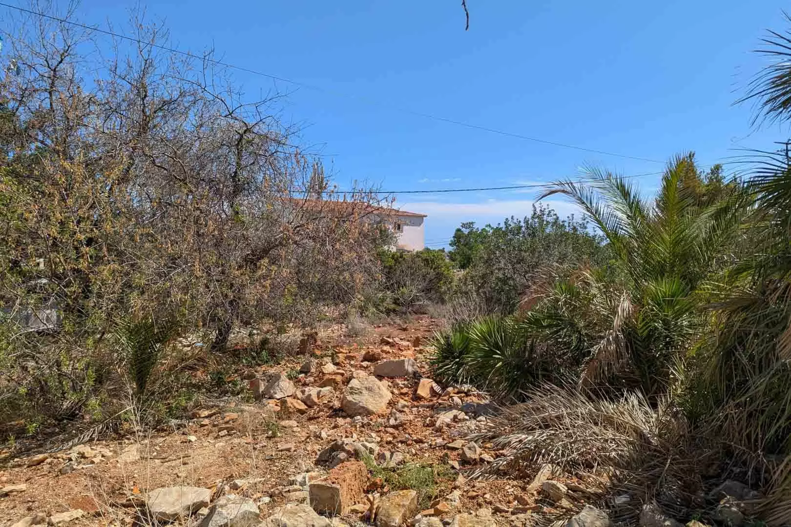 Plot In Denia, Spain (1.240 M² Plot)