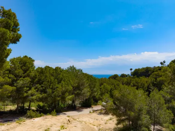 Plot In Jávea – Xàbia, Spain (3.737 M² Plot)