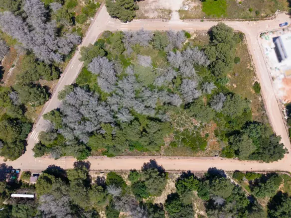 Plot In Jávea – Xàbia, Spain (1.000 M² Plot)