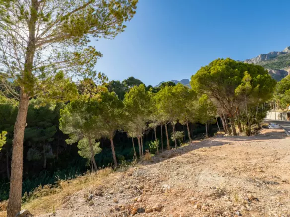 Plot In Altea, Spain (2.120 M² Plot)