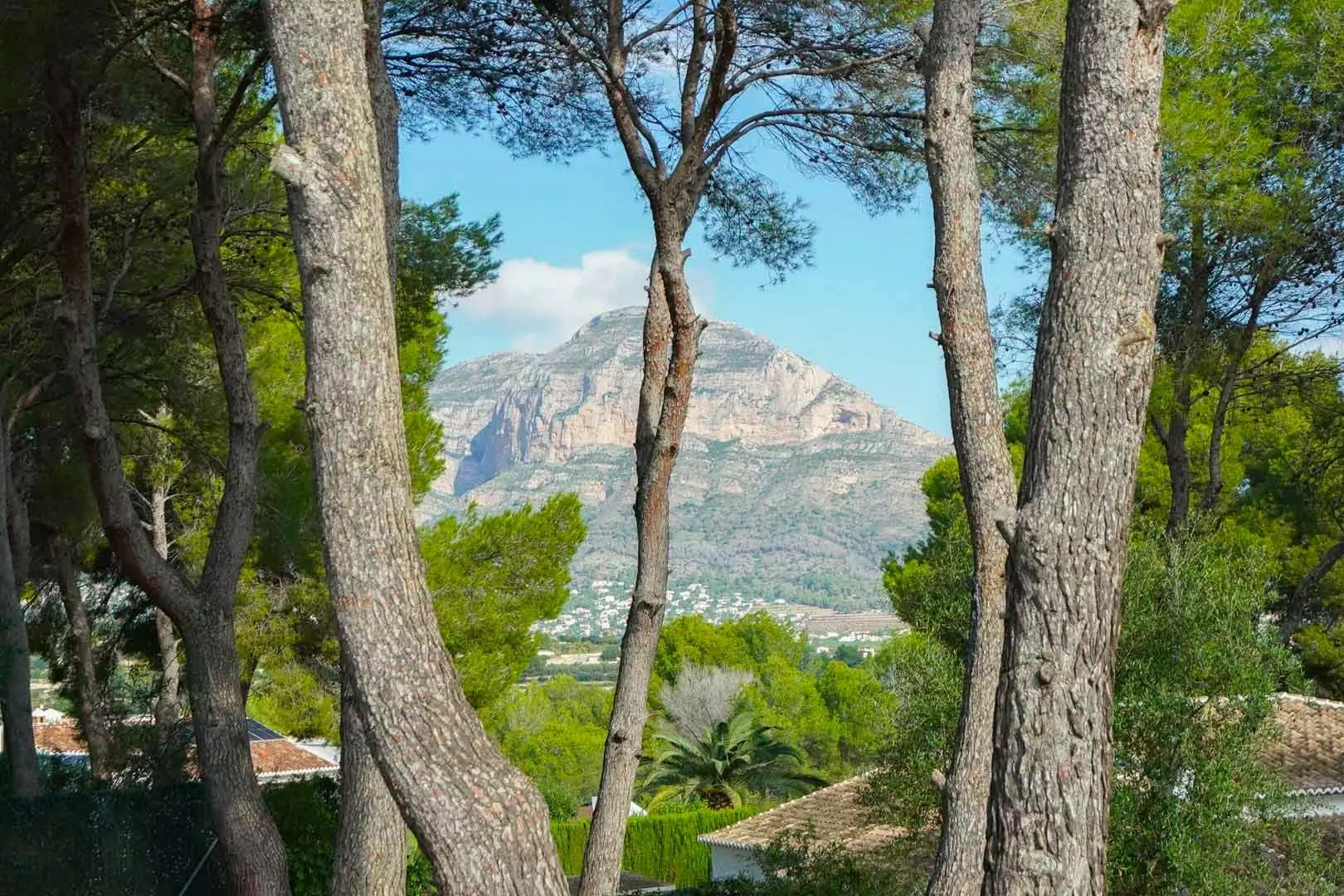 2-4-1ff56e Plot In Jávea – Xàbia, Spain (2.300 M² Plot)