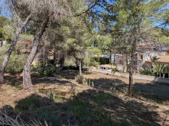 Plot In Moraira, Spain (2.503 M² Plot)
