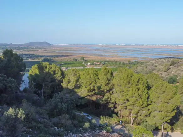 Plot In Pego, Spain (1.215 M² Plot)
