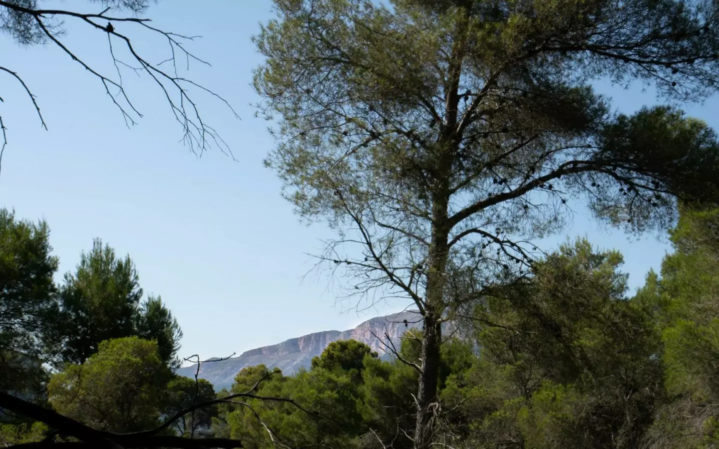 Plot In Jávea – Xàbia, Spain (1.100 M² Plot)