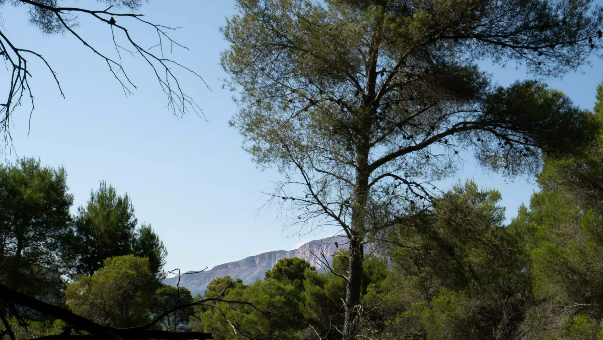 2-4-804ea5 Plot In Jávea – Xàbia, Spain (1.100 M² Plot)