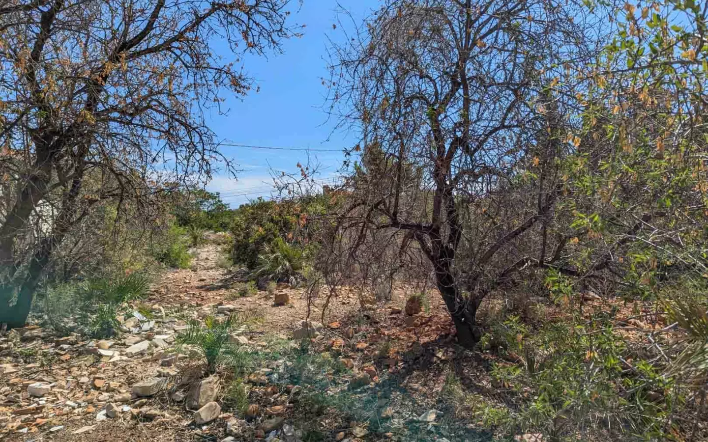 Plot In Denia, Spain (1.240 M² Plot)
