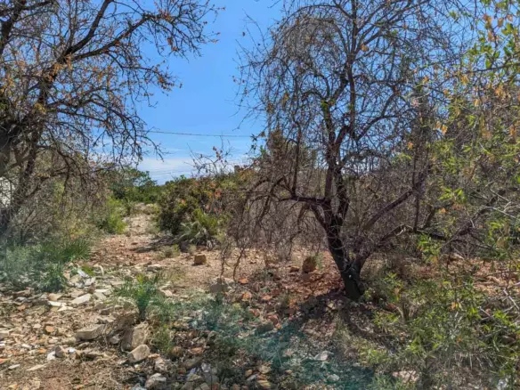 Plot In Denia, Spain (1.240 M² Plot)