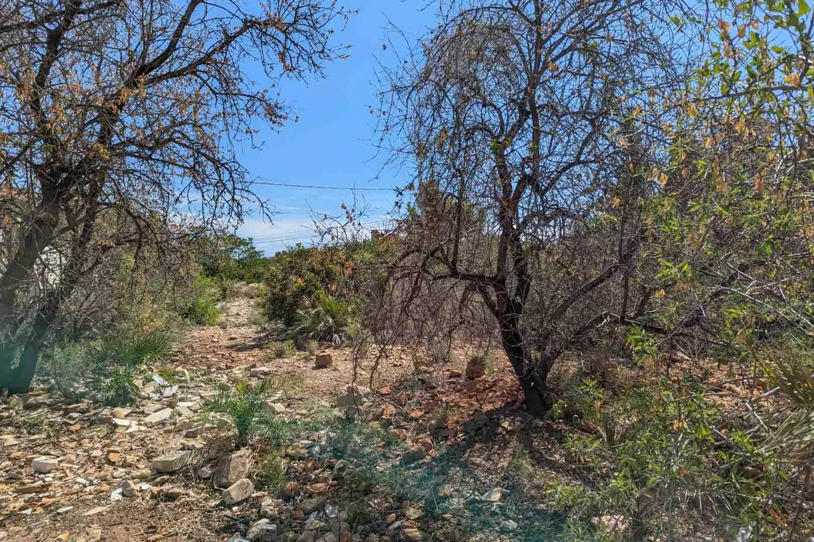Plot In Denia, Spain (1.240 M² Plot)