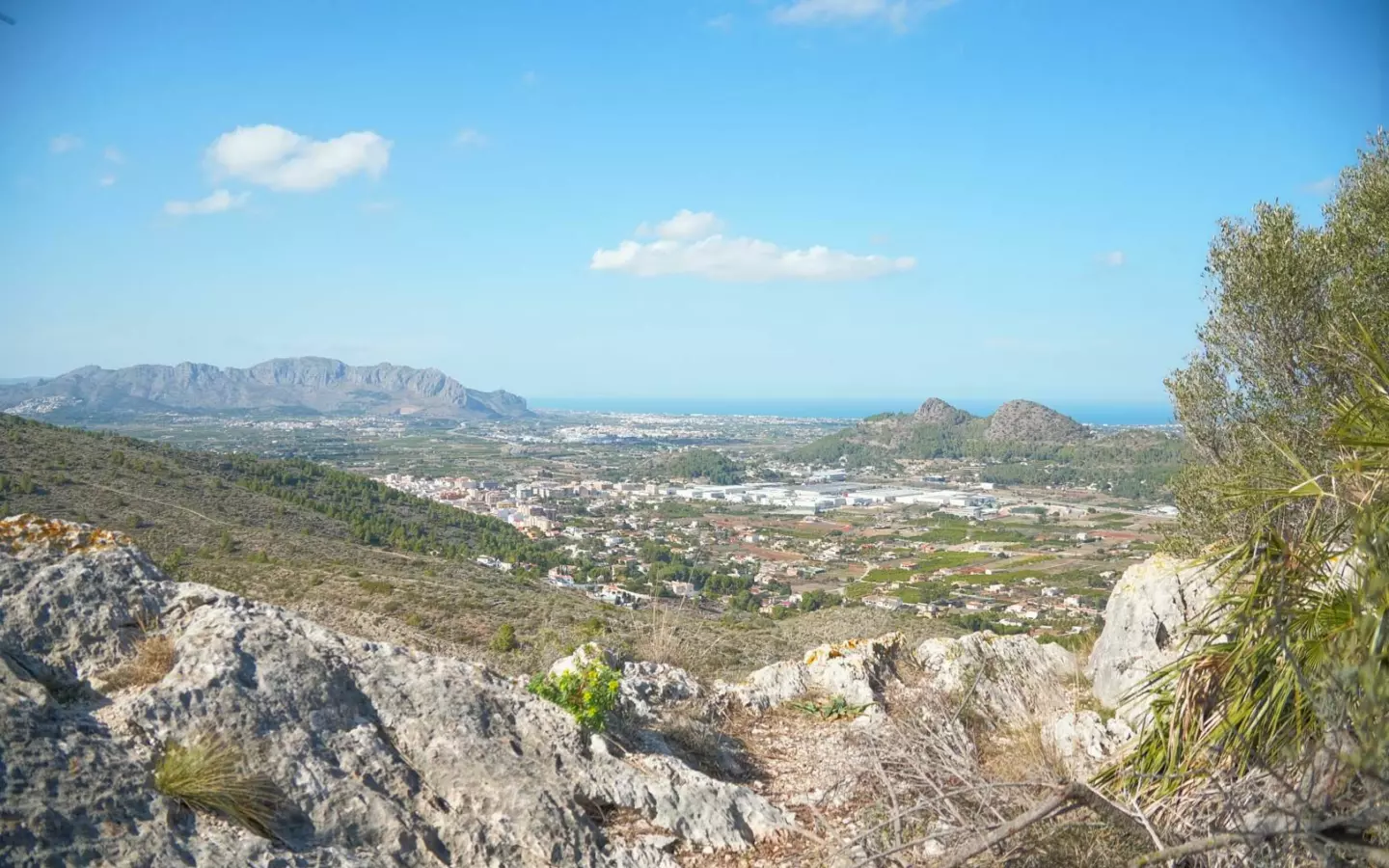 5-bedroom Villa In Pedreguer, Spain (392 M²)