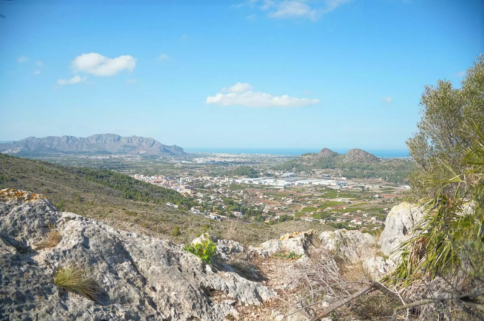 5-bedroom Villa In Pedreguer, Spain (392 M²)