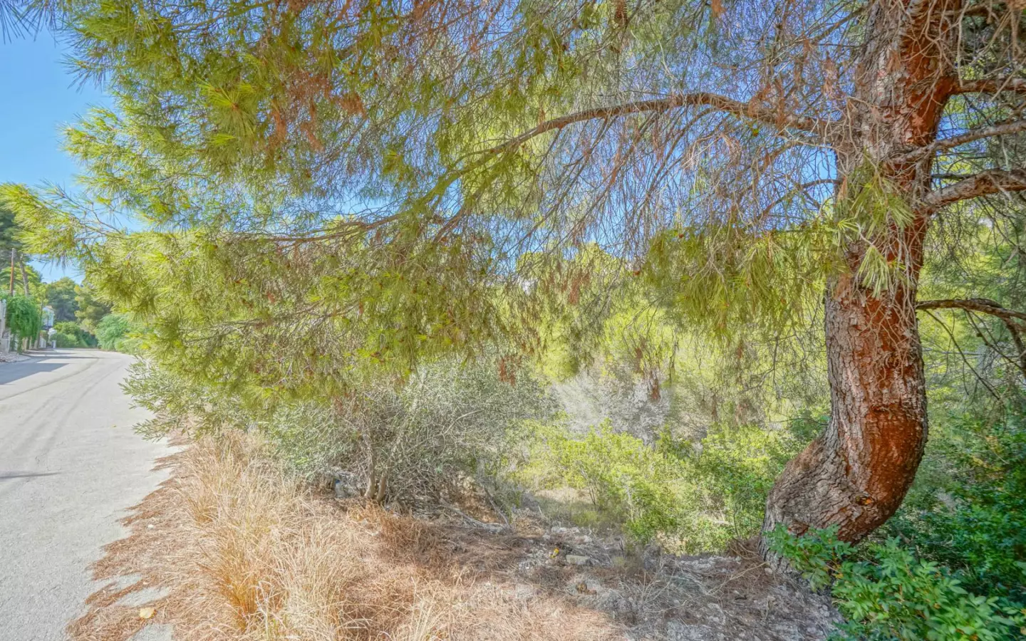 Plot In Benissa, Spain (826 M² Plot)