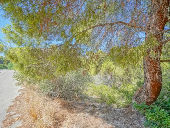 Plot In Benissa, Spain (826 M² Plot)