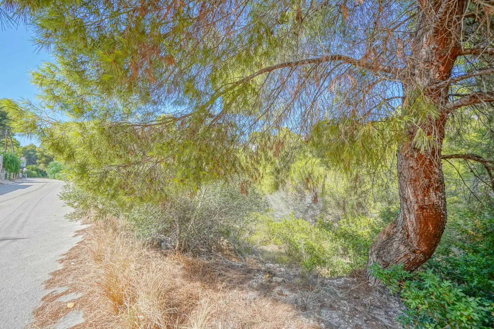Plot In Benissa, Spain (826 M² Plot)