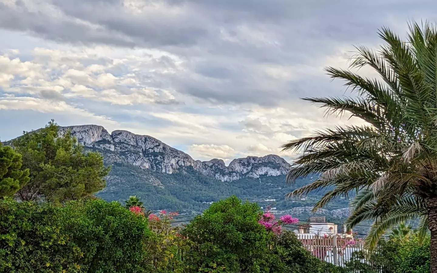 Plot In Denia, Spain (1.315 M² Plot)